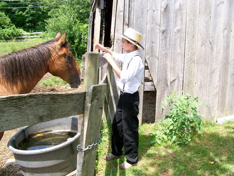 Amish Photo